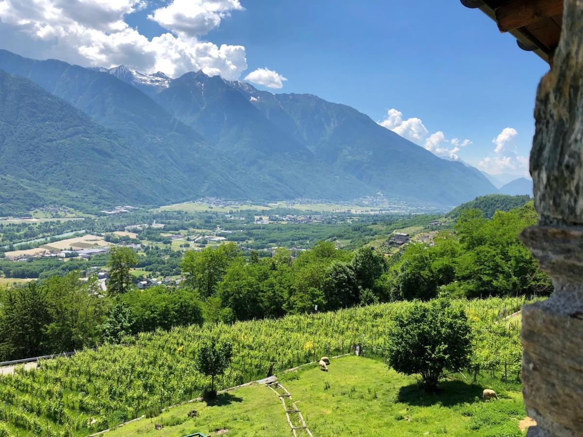 Agriturismo Cavria Castione Andevenno Exteriér fotografie